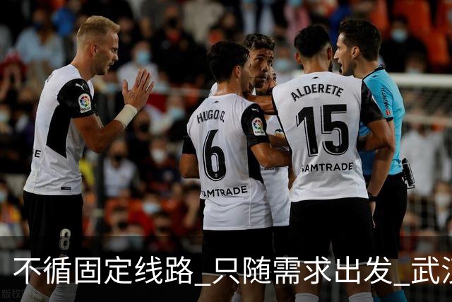 不循固定线路 只随需求出发 武汉响应式公交3元直达 跑出转型新样本