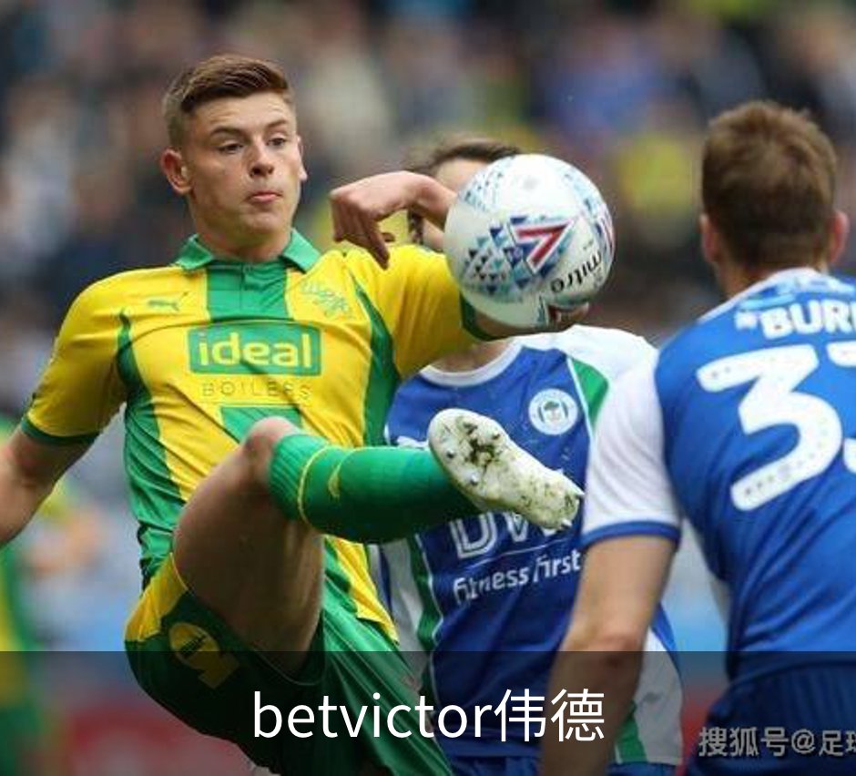 betvictor伟德简介